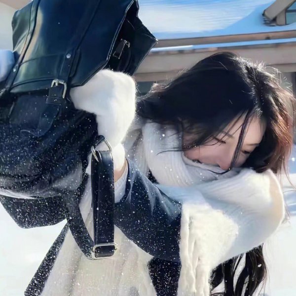 宫锁金枝